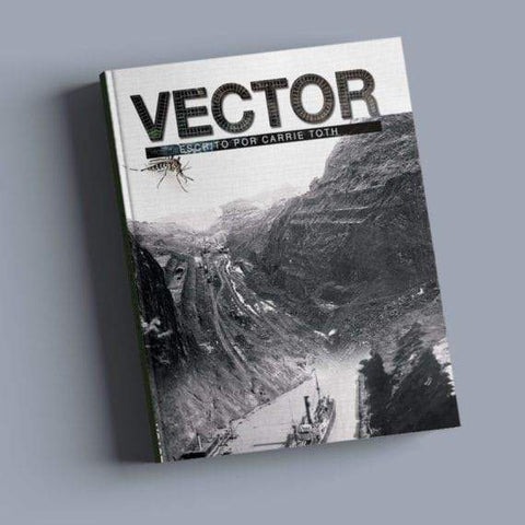Vector, by Carrie Toth for Fluency Matters/Wayside