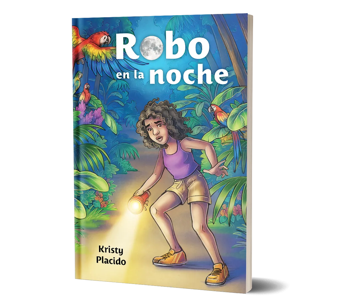 Robo en la noche, (2nd edition) from Wayside Publishing