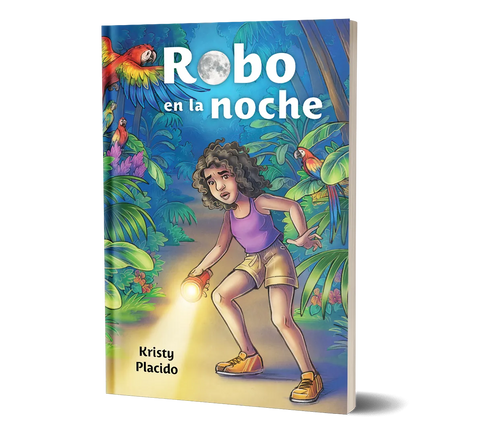 Robo en la noche, (2nd edition) from Wayside Publishing